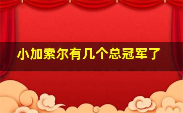 小加索尔有几个总冠军了