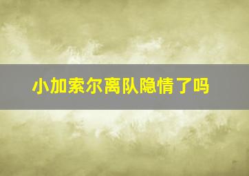 小加索尔离队隐情了吗