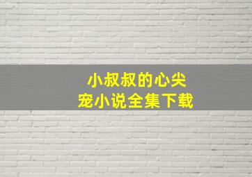 小叔叔的心尖宠小说全集下载