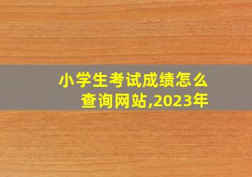 小学生考试成绩怎么查询网站,2023年