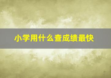 小学用什么查成绩最快