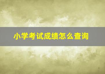 小学考试成绩怎么查询