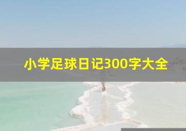 小学足球日记300字大全