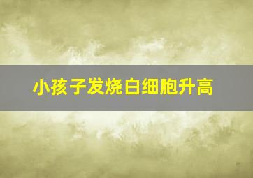 小孩子发烧白细胞升高