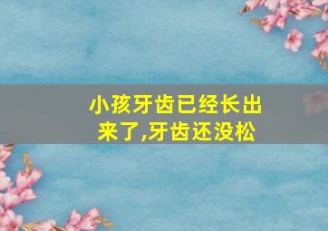 小孩牙齿已经长出来了,牙齿还没松