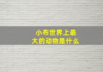 小布世界上最大的动物是什么