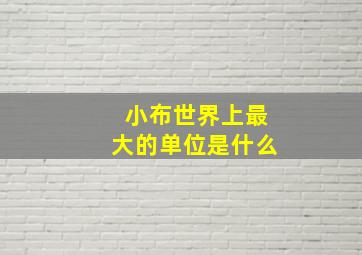 小布世界上最大的单位是什么