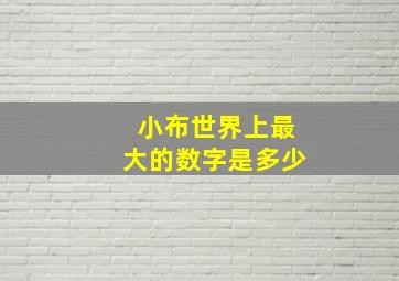 小布世界上最大的数字是多少