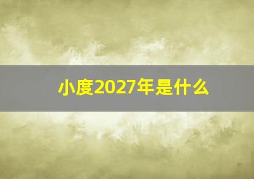 小度2027年是什么