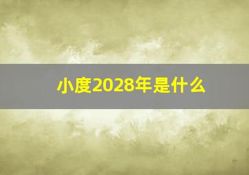 小度2028年是什么