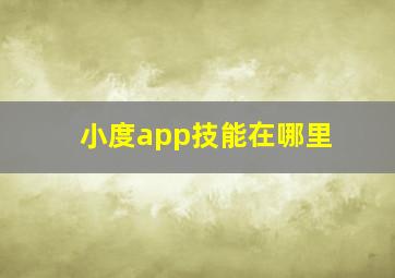 小度app技能在哪里