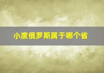 小度俄罗斯属于哪个省