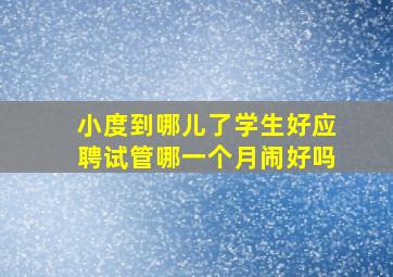 小度到哪儿了学生好应聘试管哪一个月闹好吗