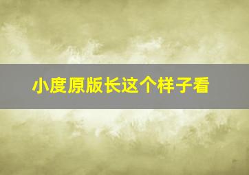 小度原版长这个样子看