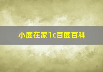 小度在家1c百度百科