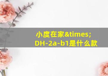 小度在家×DH-2a-b1是什么款