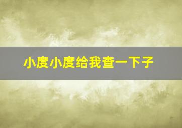 小度小度给我查一下子