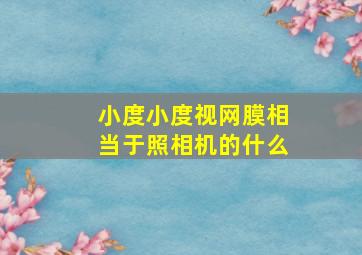 小度小度视网膜相当于照相机的什么