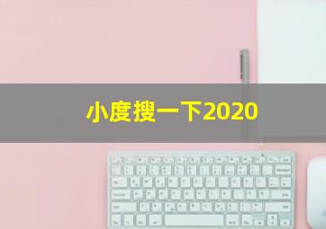 小度搜一下2020