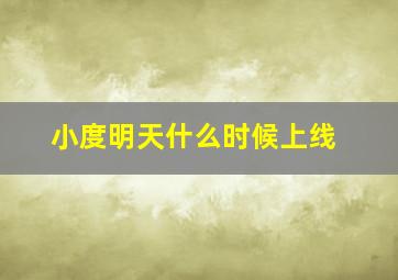 小度明天什么时候上线