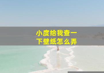 小度给我查一下壁纸怎么弄