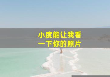 小度能让我看一下你的照片