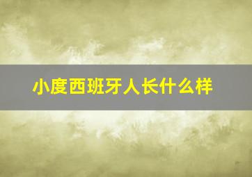 小度西班牙人长什么样