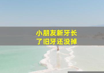 小朋友新牙长了旧牙还没掉