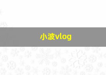 小波vlog