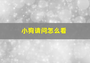 小狗请问怎么看