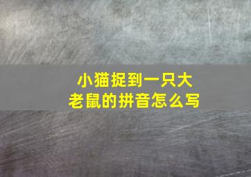 小猫捉到一只大老鼠的拼音怎么写