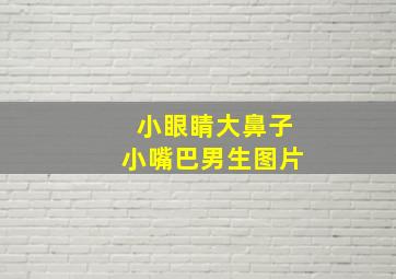 小眼睛大鼻子小嘴巴男生图片