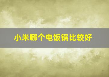 小米哪个电饭锅比较好