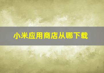 小米应用商店从哪下载