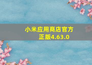 小米应用商店官方正版4.63.0