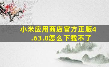 小米应用商店官方正版4.63.0怎么下载不了