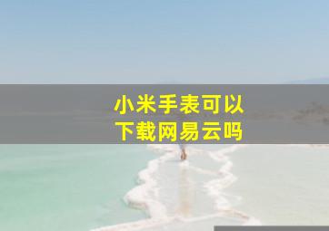 小米手表可以下载网易云吗