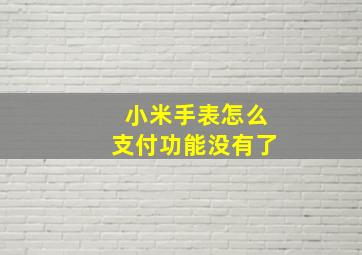 小米手表怎么支付功能没有了