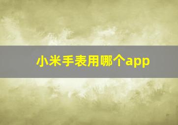 小米手表用哪个app