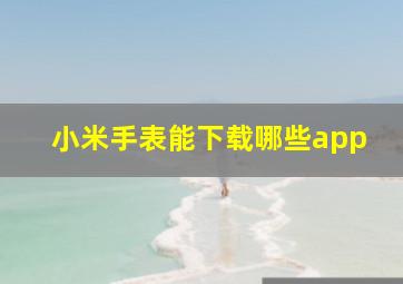 小米手表能下载哪些app