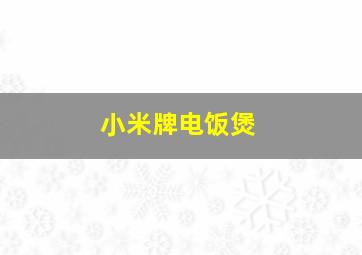 小米牌电饭煲