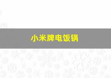 小米牌电饭锅