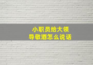 小职员给大领导敬酒怎么说话