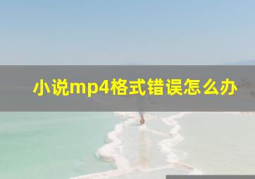 小说mp4格式错误怎么办