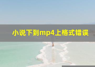 小说下到mp4上格式错误