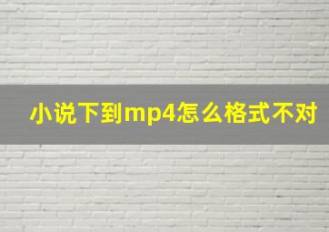 小说下到mp4怎么格式不对