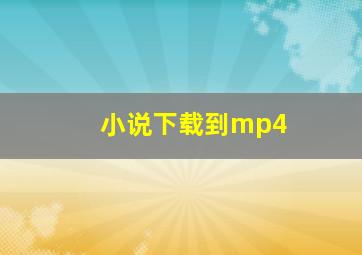 小说下载到mp4