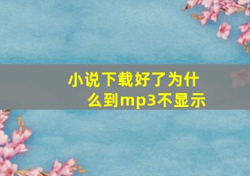 小说下载好了为什么到mp3不显示