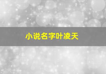 小说名字叶凌天