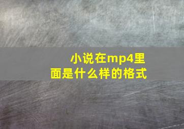 小说在mp4里面是什么样的格式